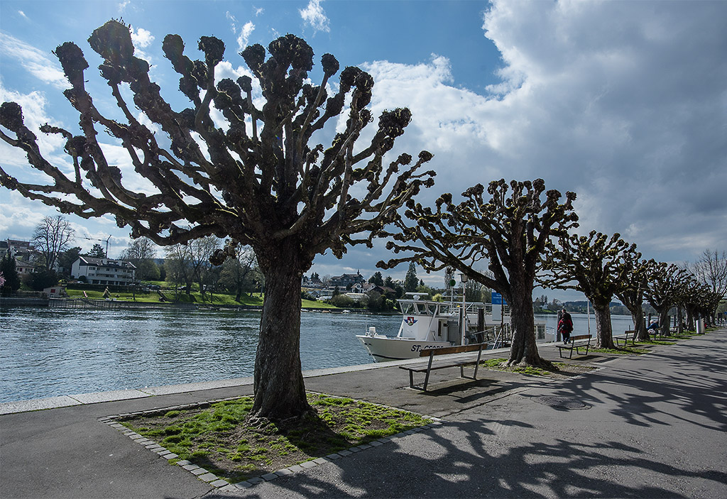 Tour Bodensee 03 - 2016_KA78602-1 Kopie.jpg - Die Uferpromenade